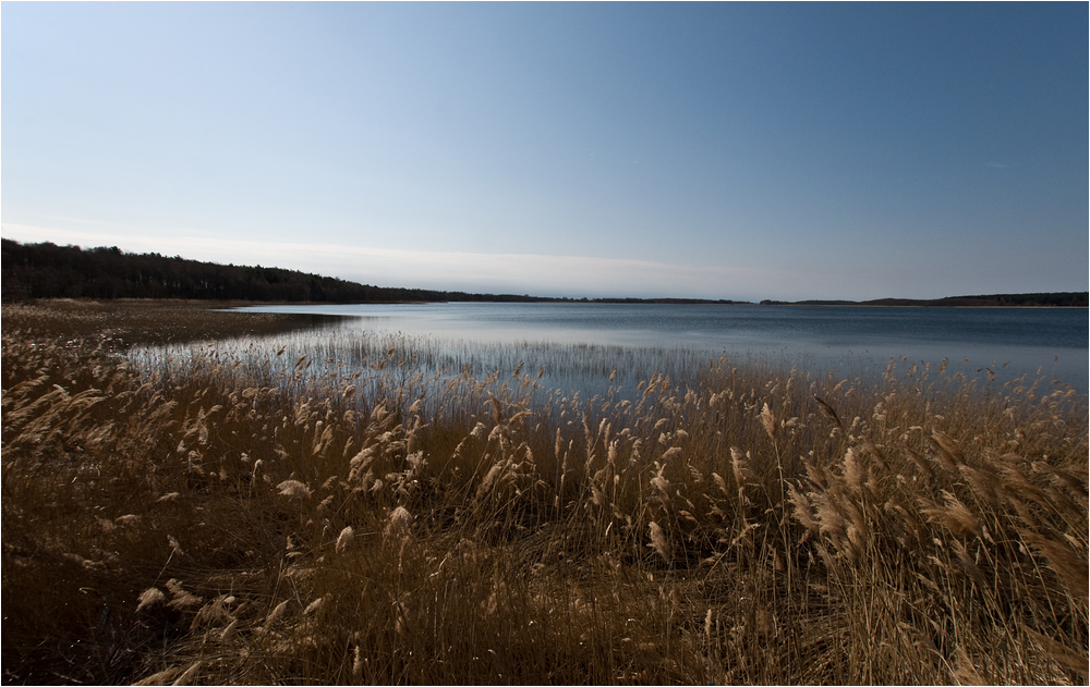 Rederangsee: Oase der Ruhe