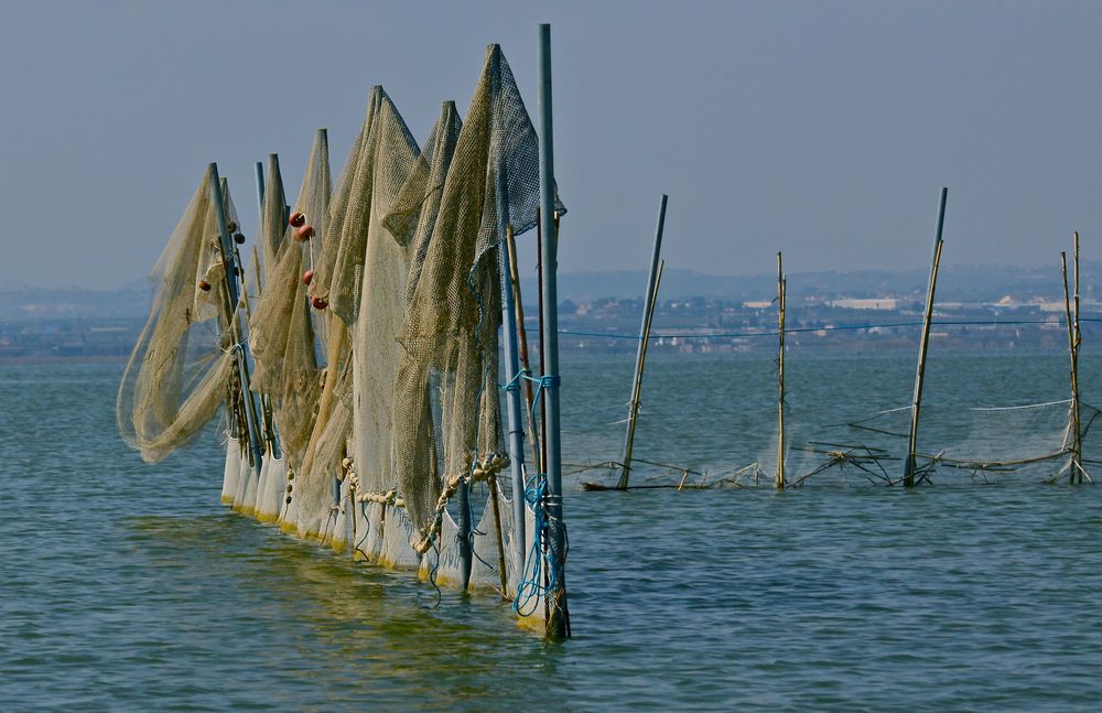 Redes en la Albufera