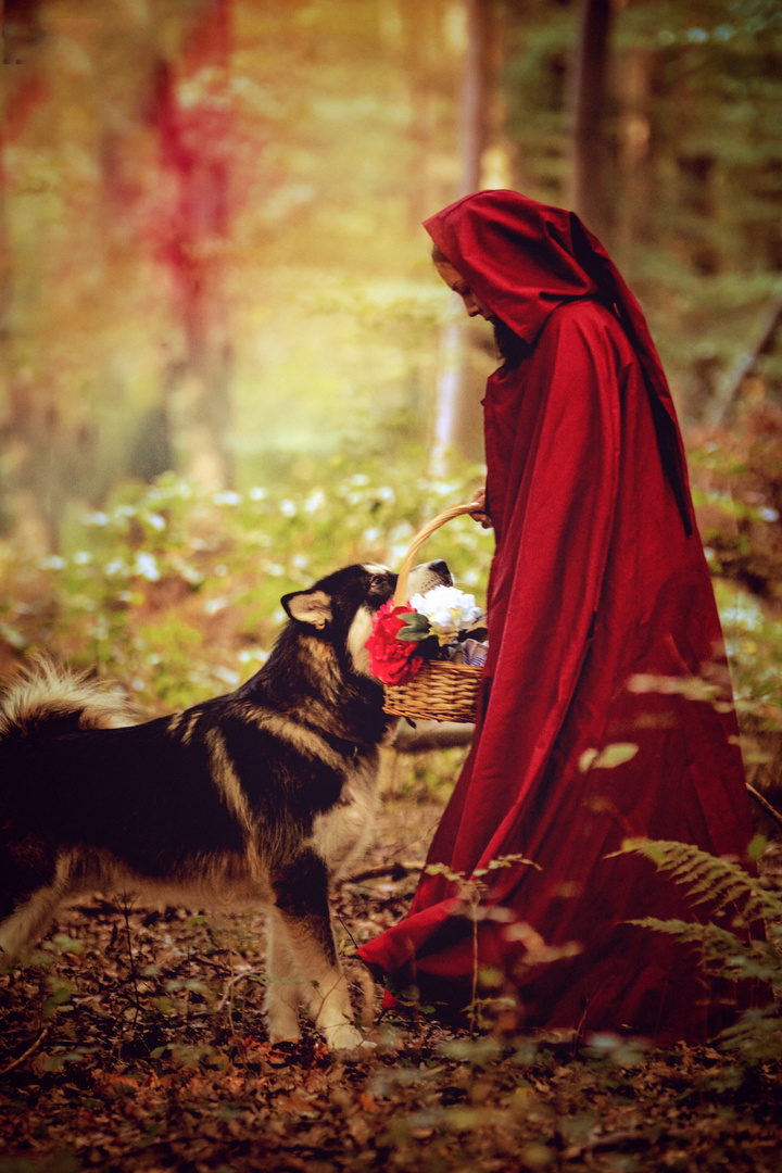  RedRidingHood.