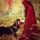  RedRidingHood.