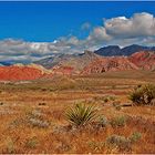 Redrock Canyon