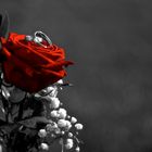 RedRose