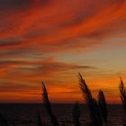 RedSkies at Golden Bay Malta