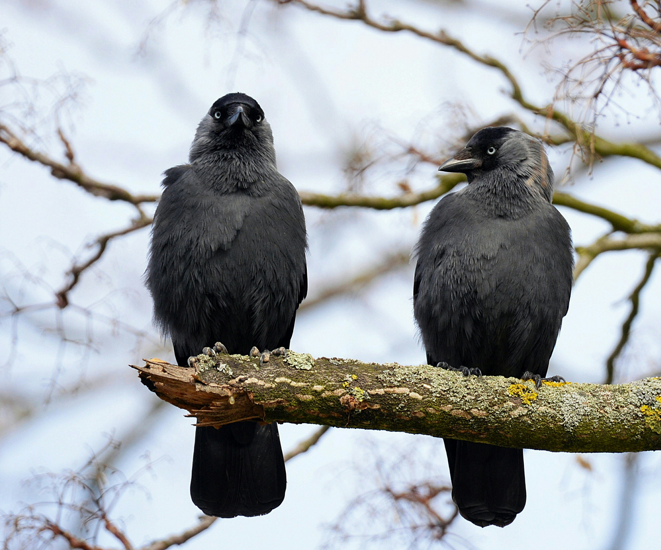 Reds't nimmer mit mir?