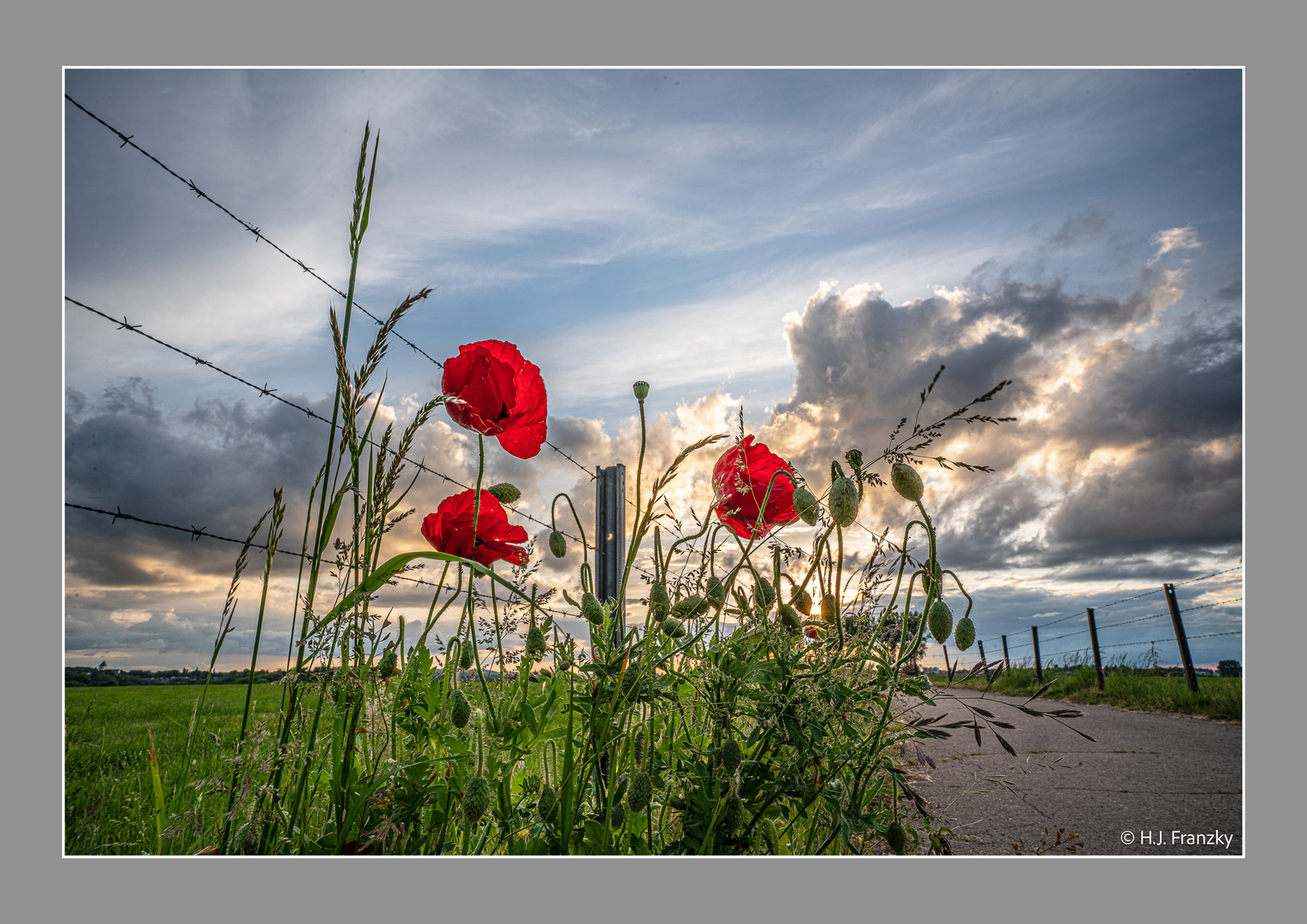 red_sunset_mohn220524_2889