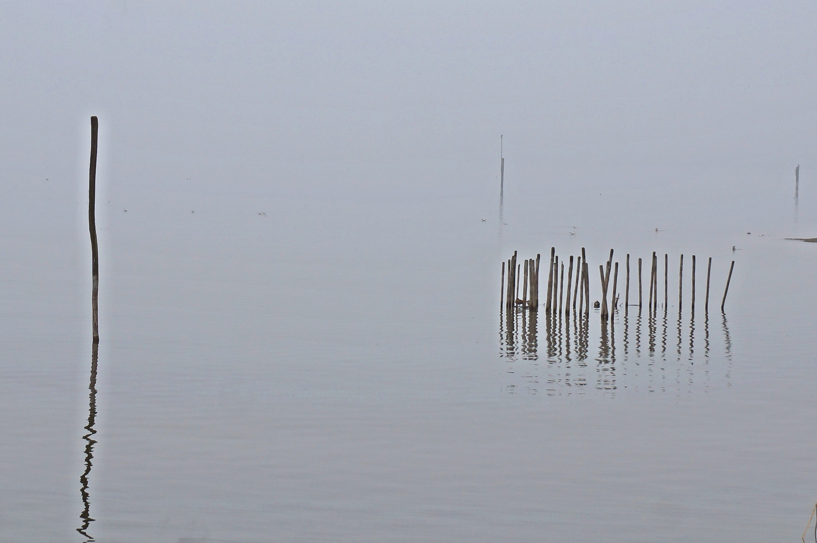 Reduktion im Nebel