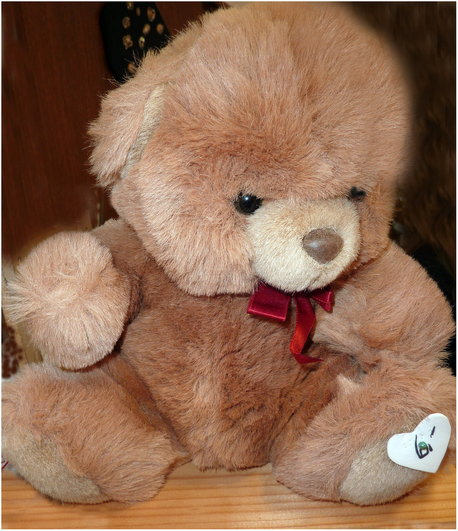 Reduzierter Teddy