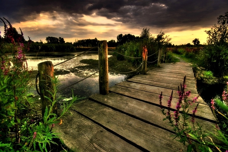 redwitz biotope