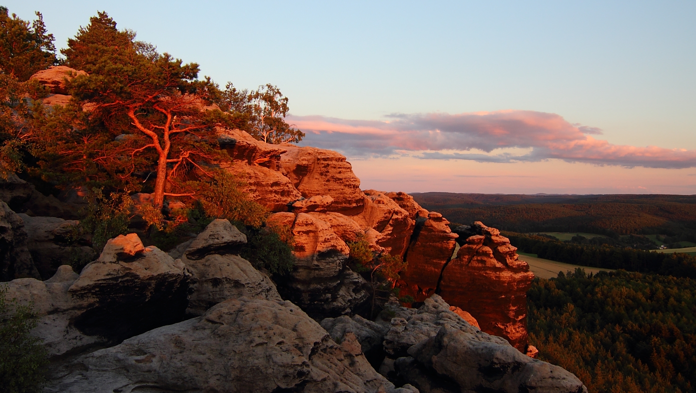 Redwood - Saxon Switzerland