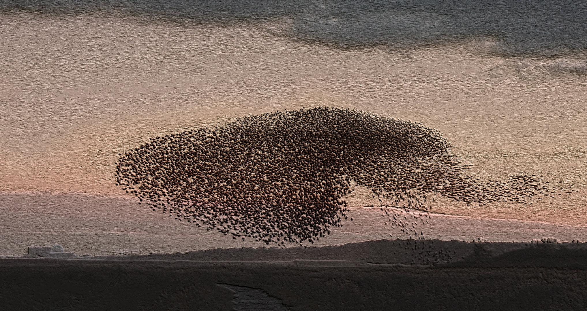 Reed Bed Roost