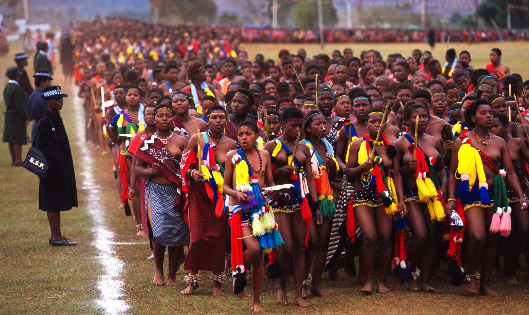 Reed Dance Festival