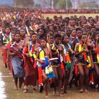 Reed Dance Festival