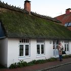 Reeddach Haus - Massholm