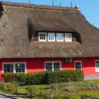 Reedhaus an der Ostsee