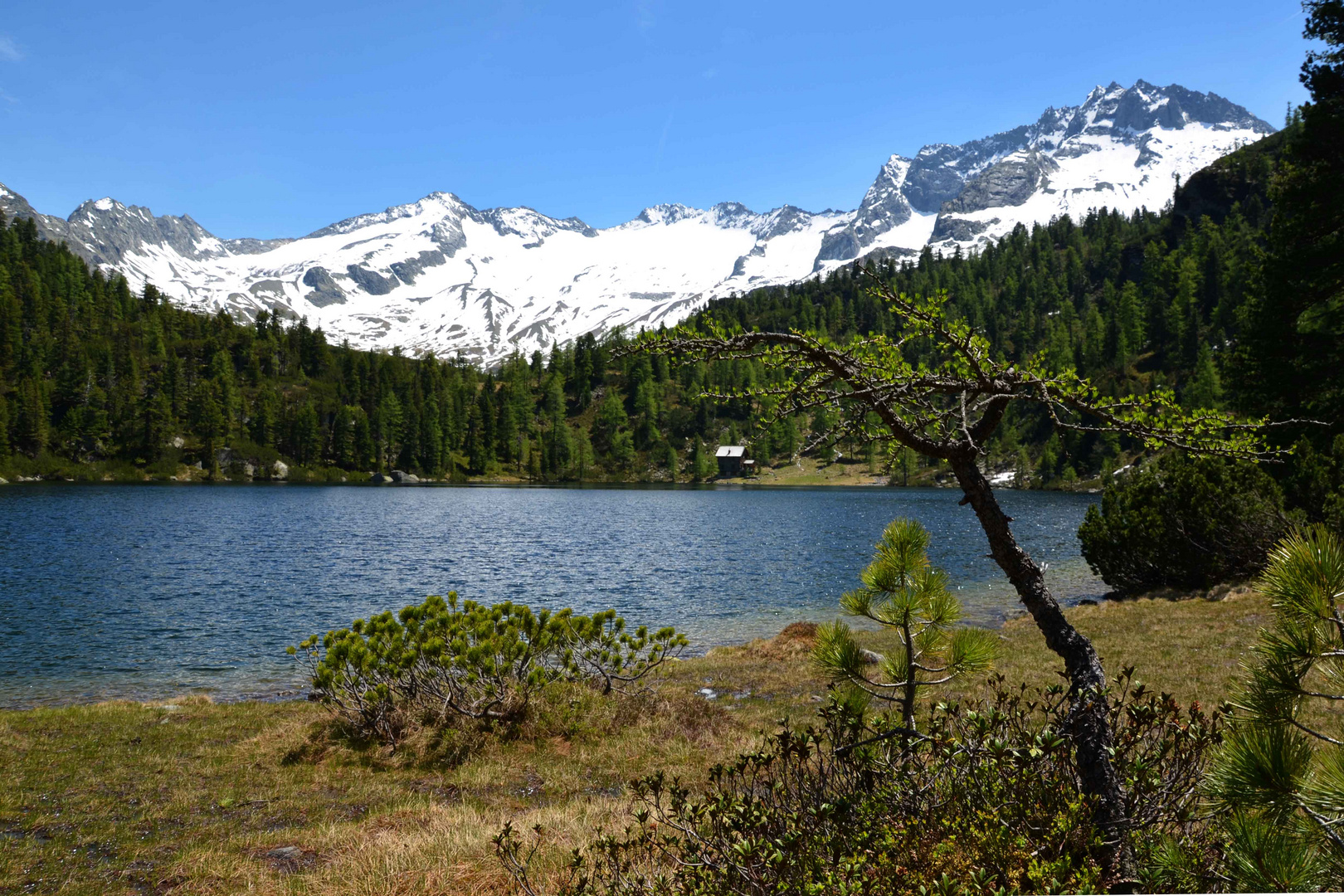 Reedsee im Hintergrund der Tischlerkarspitz 3004m