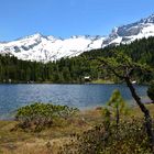 Reedsee im Hintergrund der Tischlerkarspitz 3004m