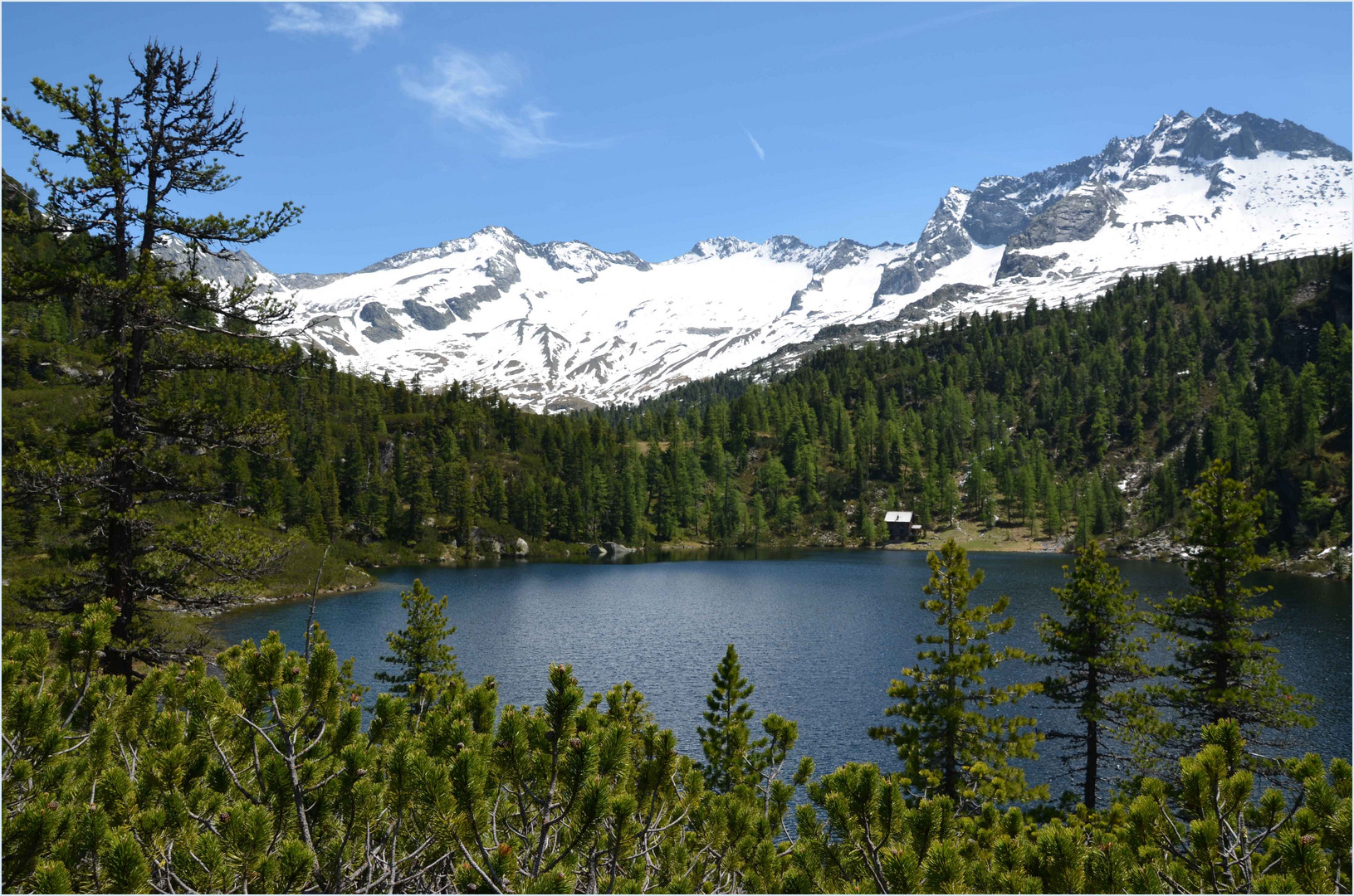 Reedsee im Hintergrund der Tischlerkarspitz 3004m III