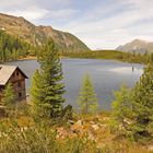 Reedsee mit Reedseehütte