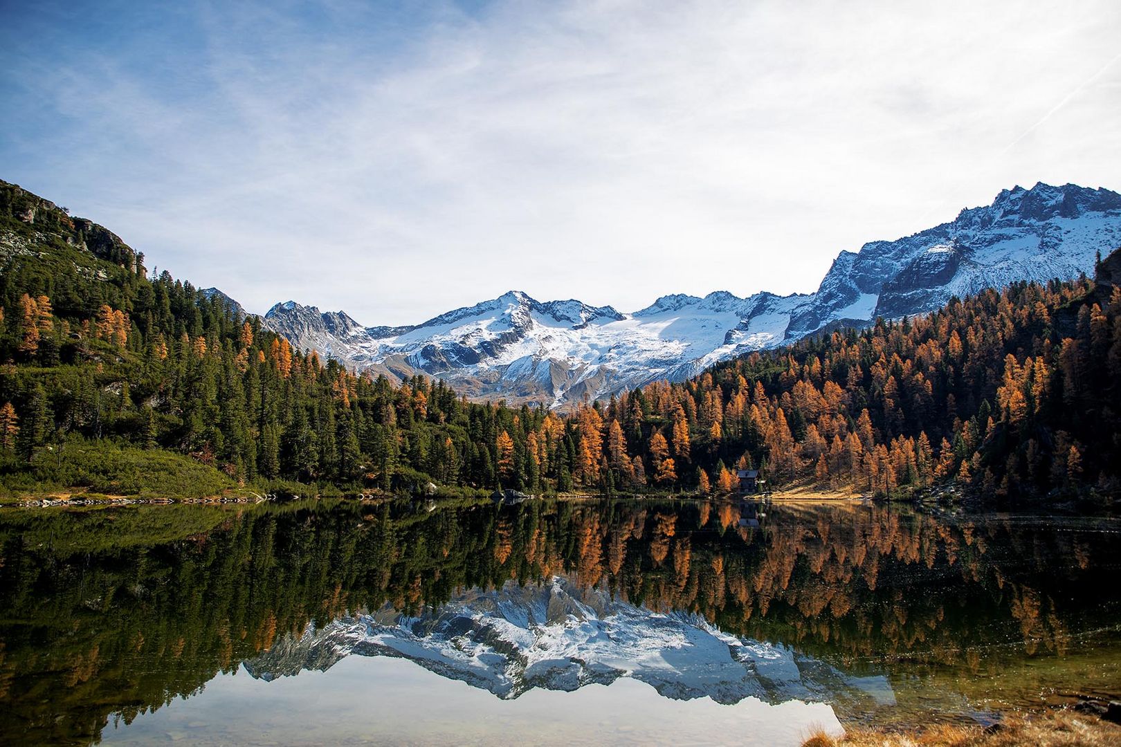 Reedsee / Natur