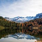 Reedsee / Natur