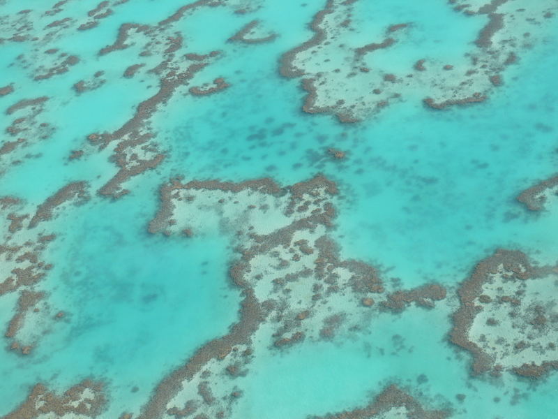 Reef from above