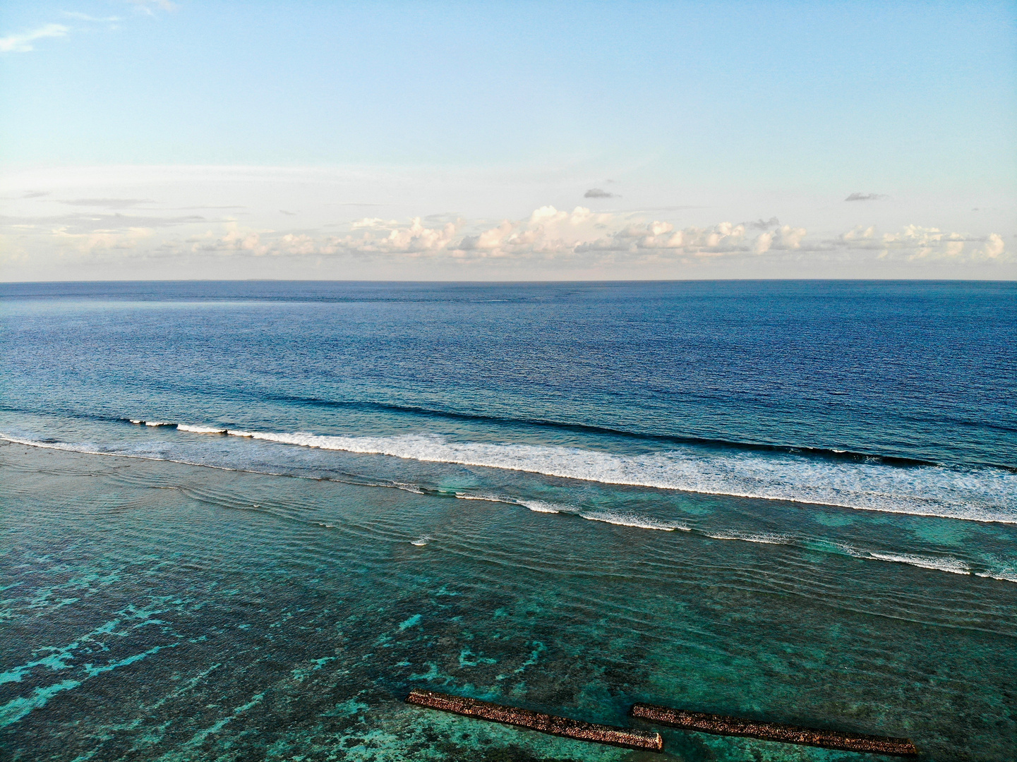 Reef of Paradise