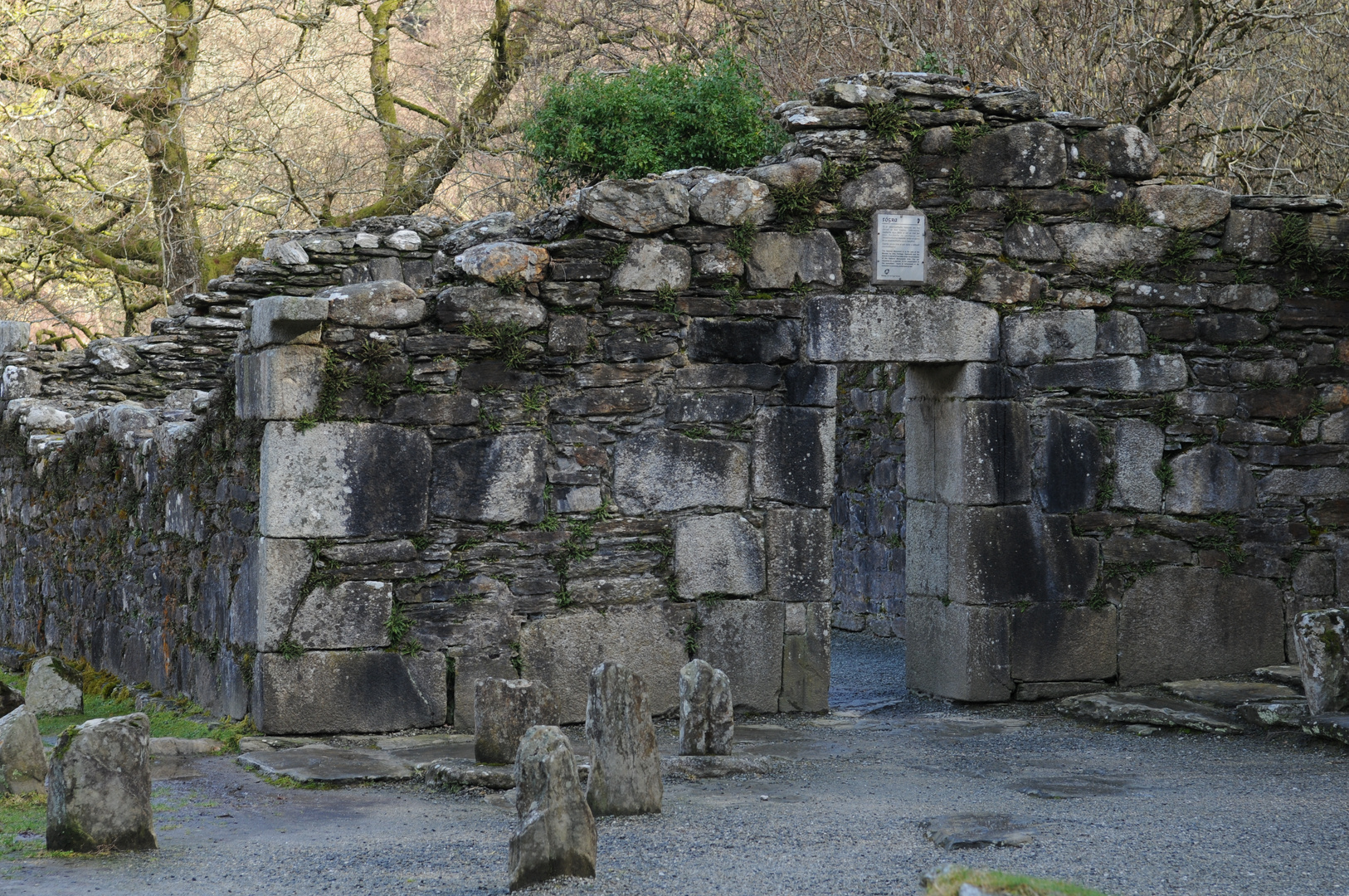 Reefert Church Glendalough