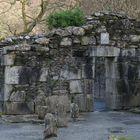 Reefert Church Glendalough