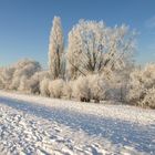 Reeser Deichblick im Winter