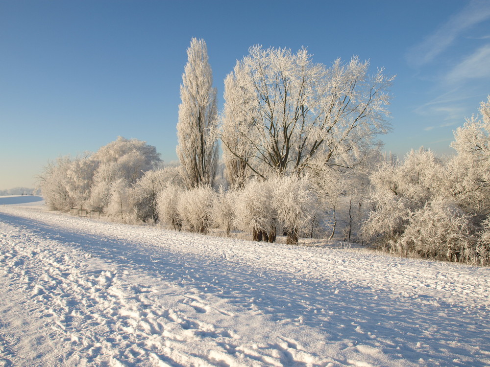 Reeser Deichblick im Winter