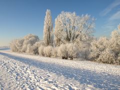 Reeser Deichblick im Winter