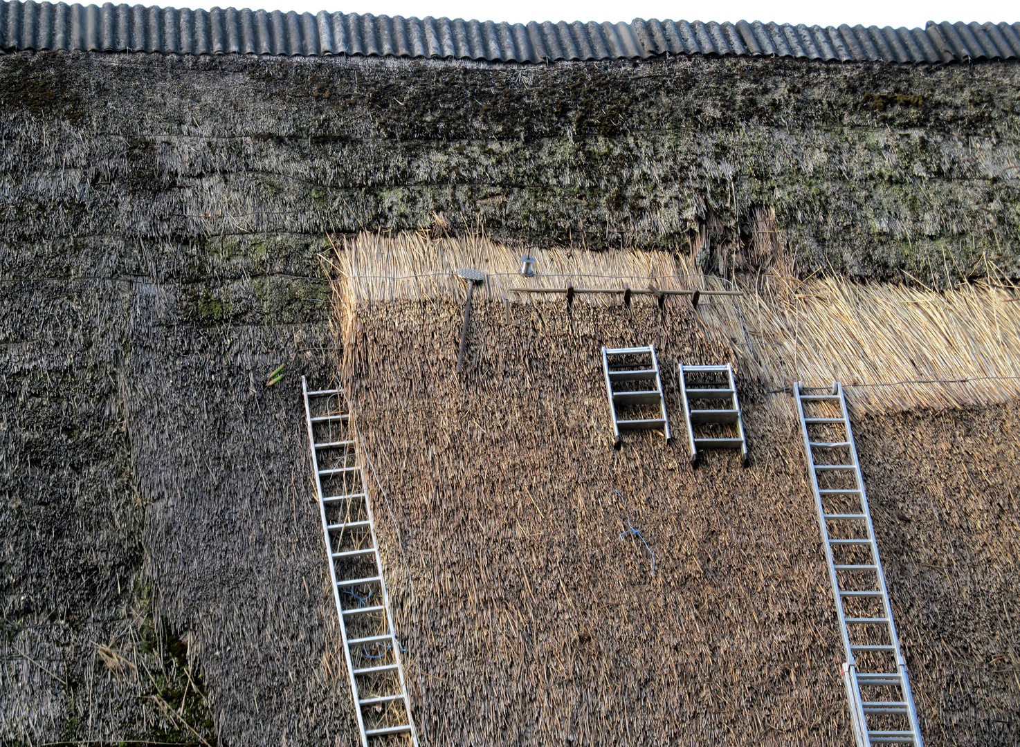  Reetdach Arbeiten