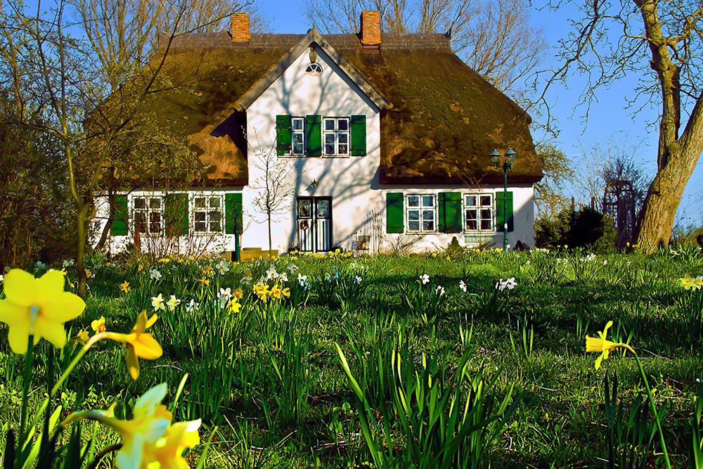 Reetdach-Frühling