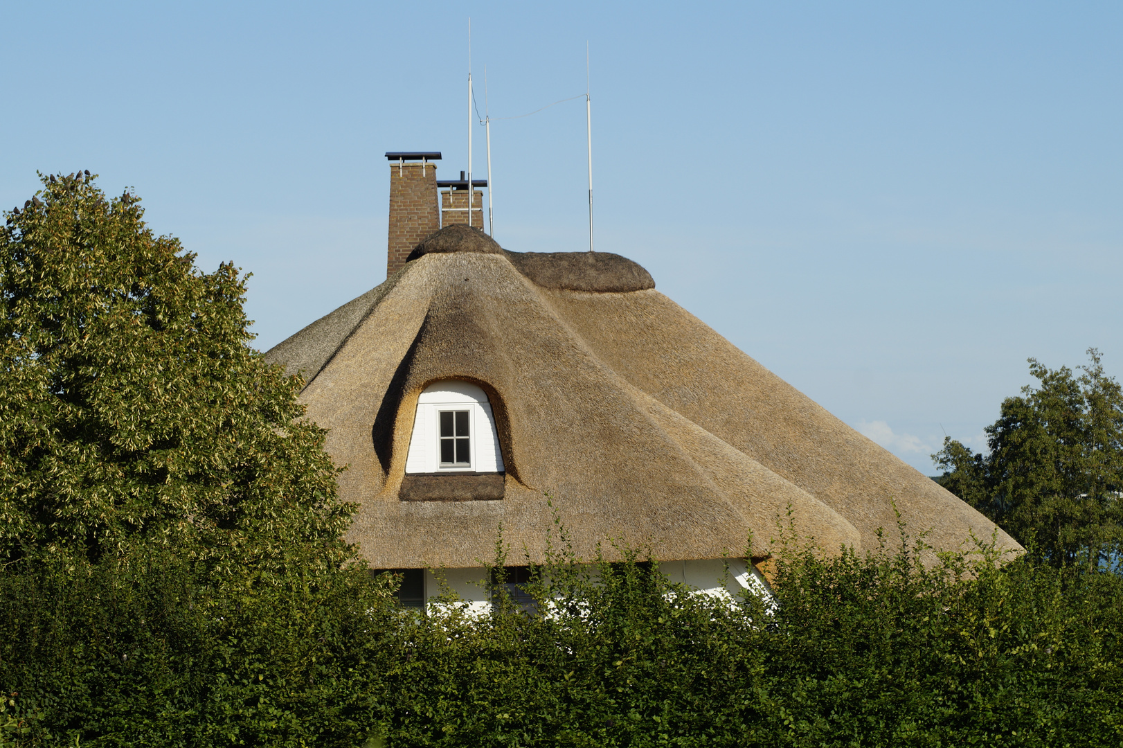 Reetdach gedecktes Haus