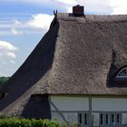 Reetdach-Haus in der Ortschaft Stresdorf