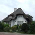 Reetdach Haus in Kinrooi (Belgien, Vlaanderen)