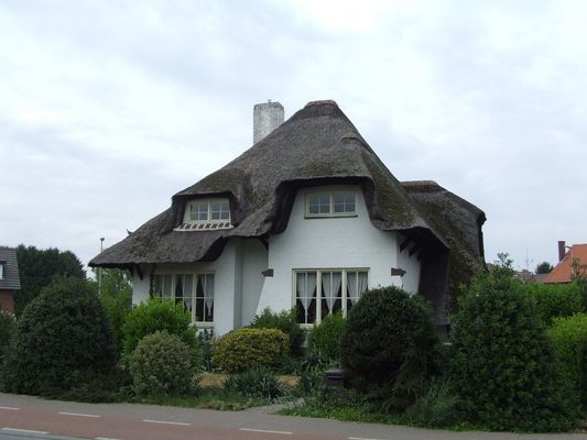 Reetdach Haus in Kinrooi (Belgien, Vlaanderen)