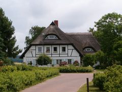 Reetdachhaus