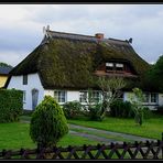 Reetdachhaus auf der Insel Rügen