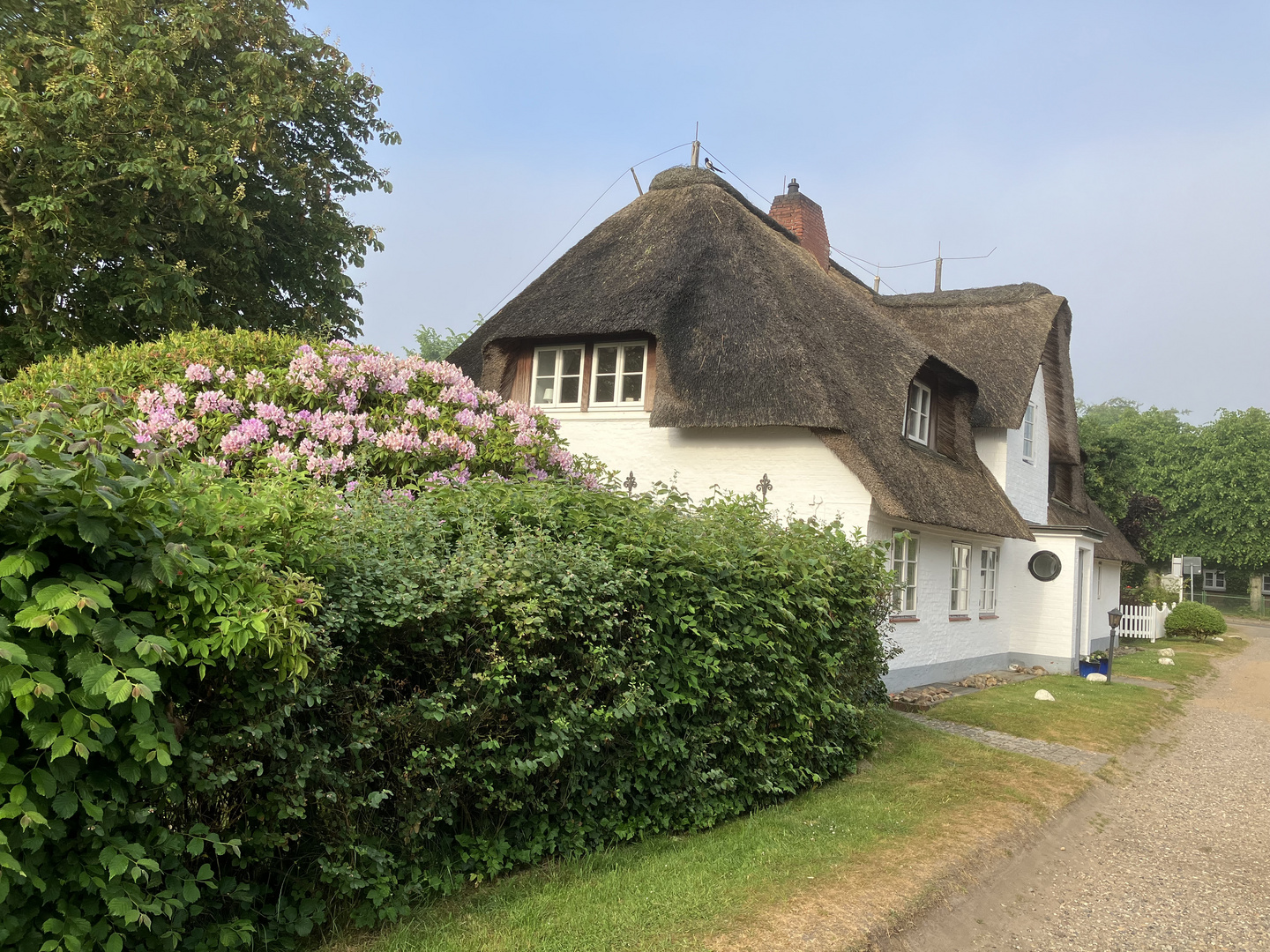 Reetdachhaus in Nebel auf Amrum