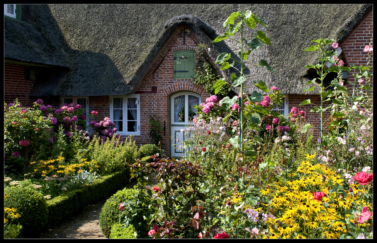 Reetdachhaus in Sankt Peter Foto & Bild | deutschland, europe ...