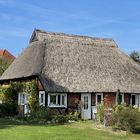 Reetdachhaus in Zingst