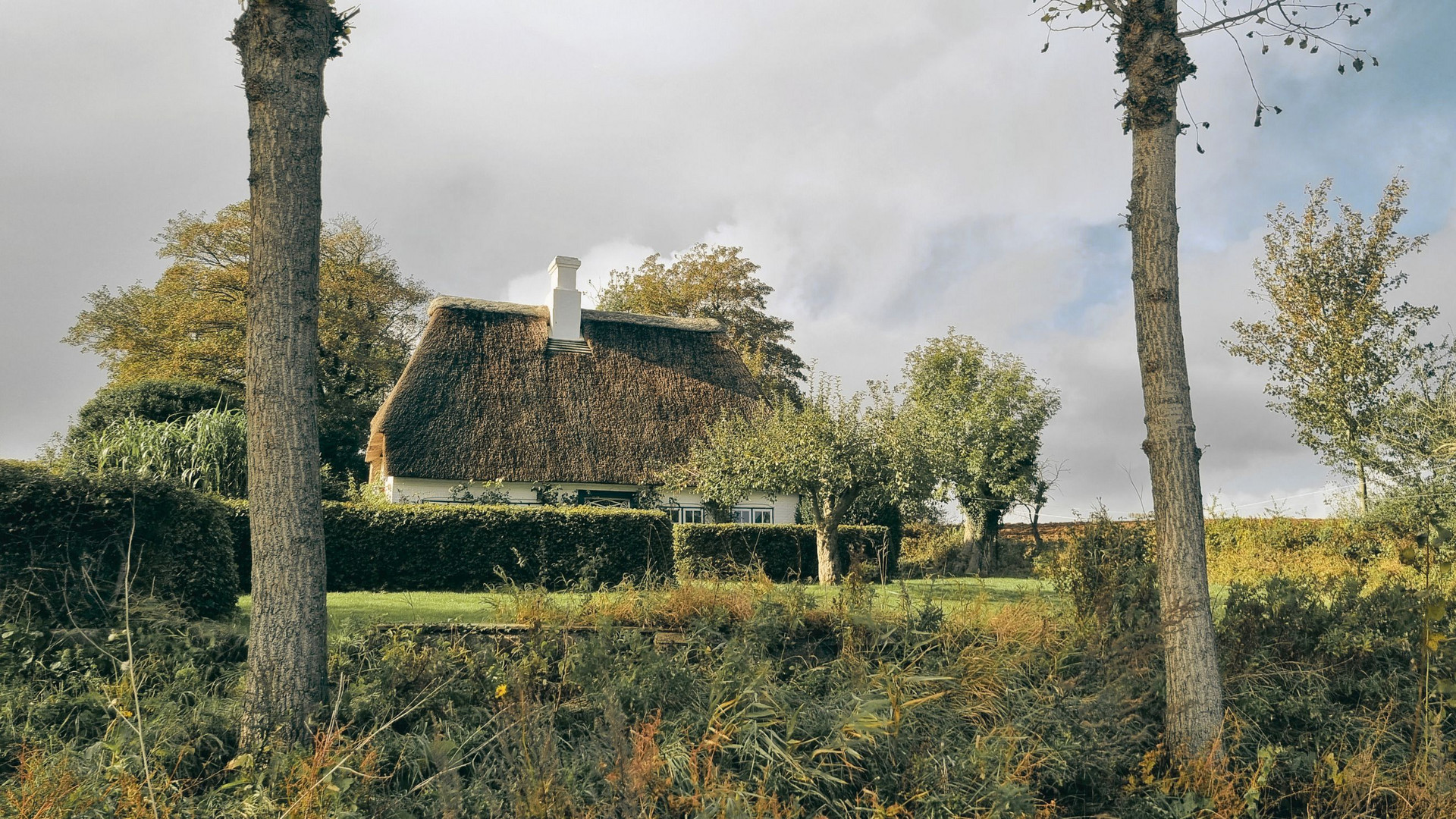 Reetdachhaus Traum in Dänemark 