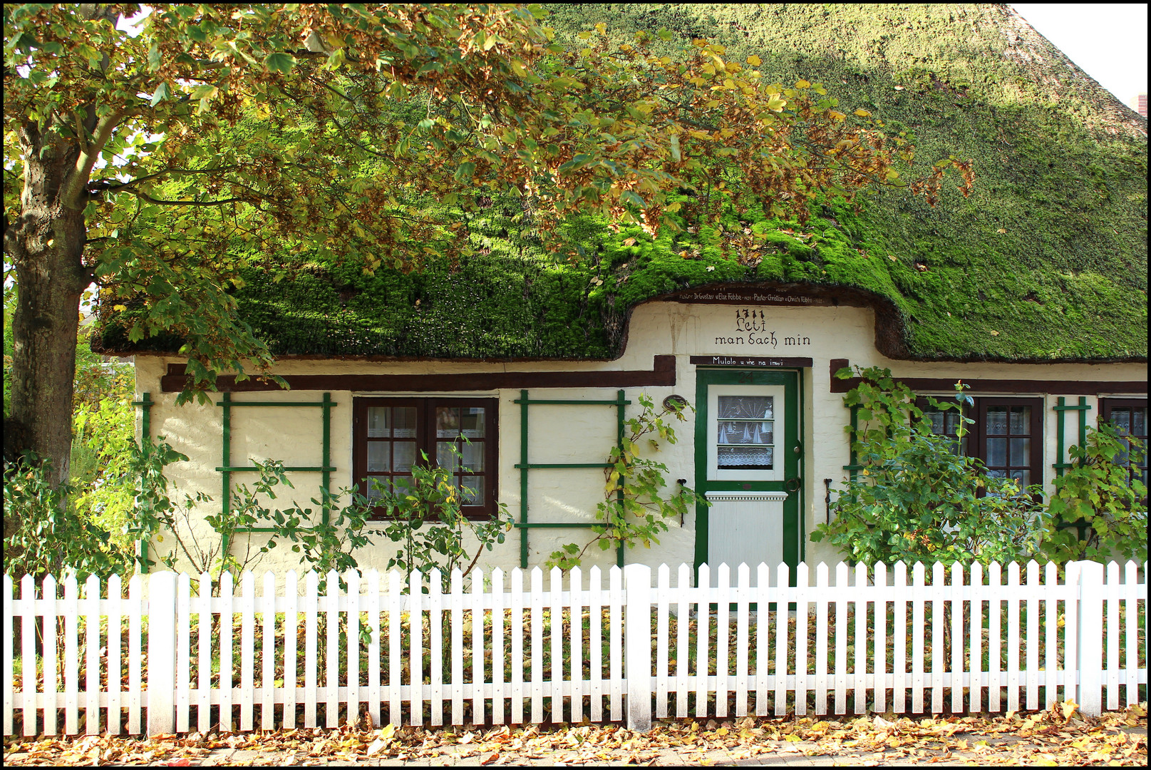 Reetdachhaus Wyk auf Föhr