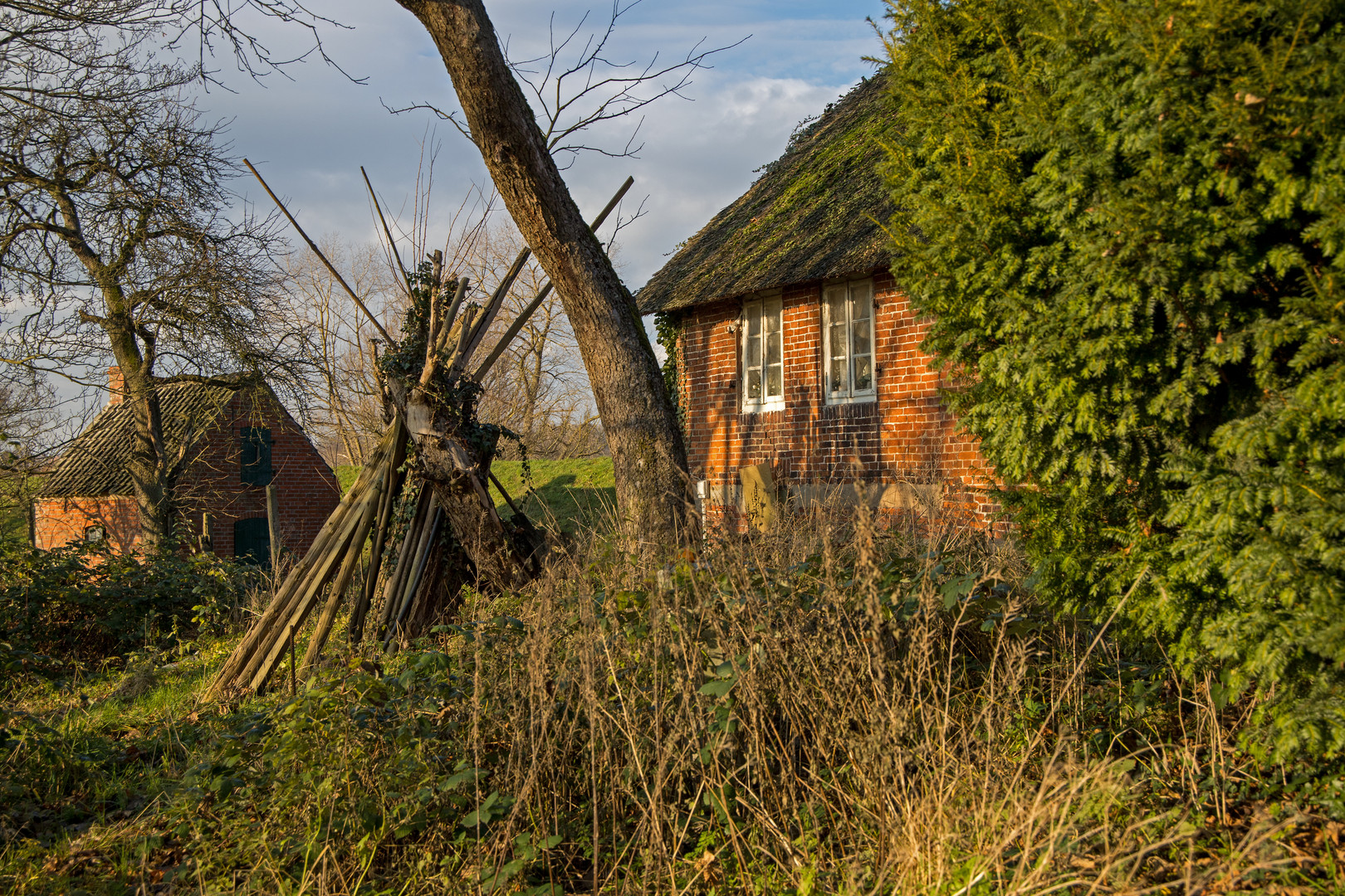 Reetdachkate mit Backhaus auf dem Lesumdeich II, Bremen