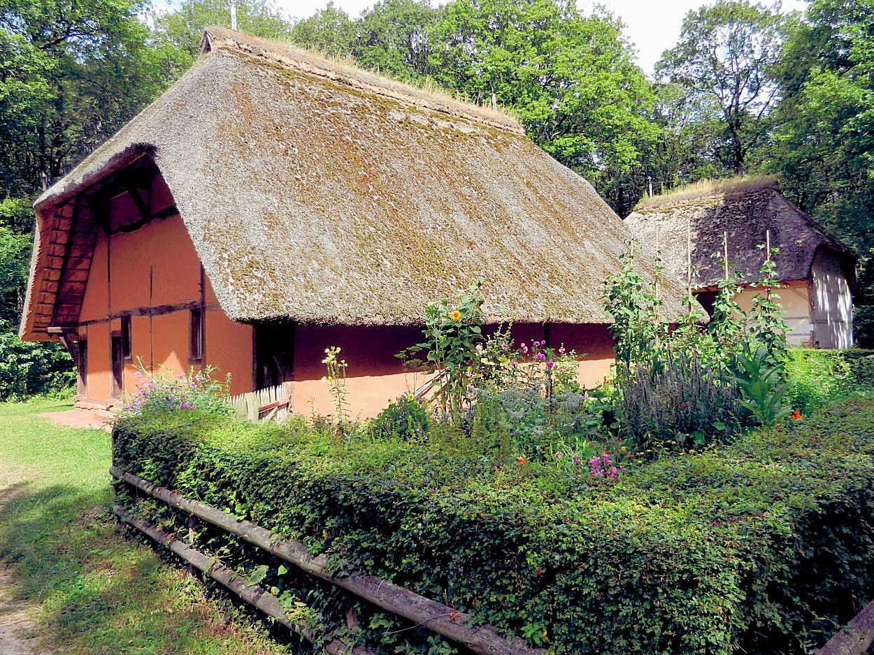 Reetdächer im Freilichtmuseum Kommern