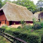 Reetdächer im Freilichtmuseum Kommern