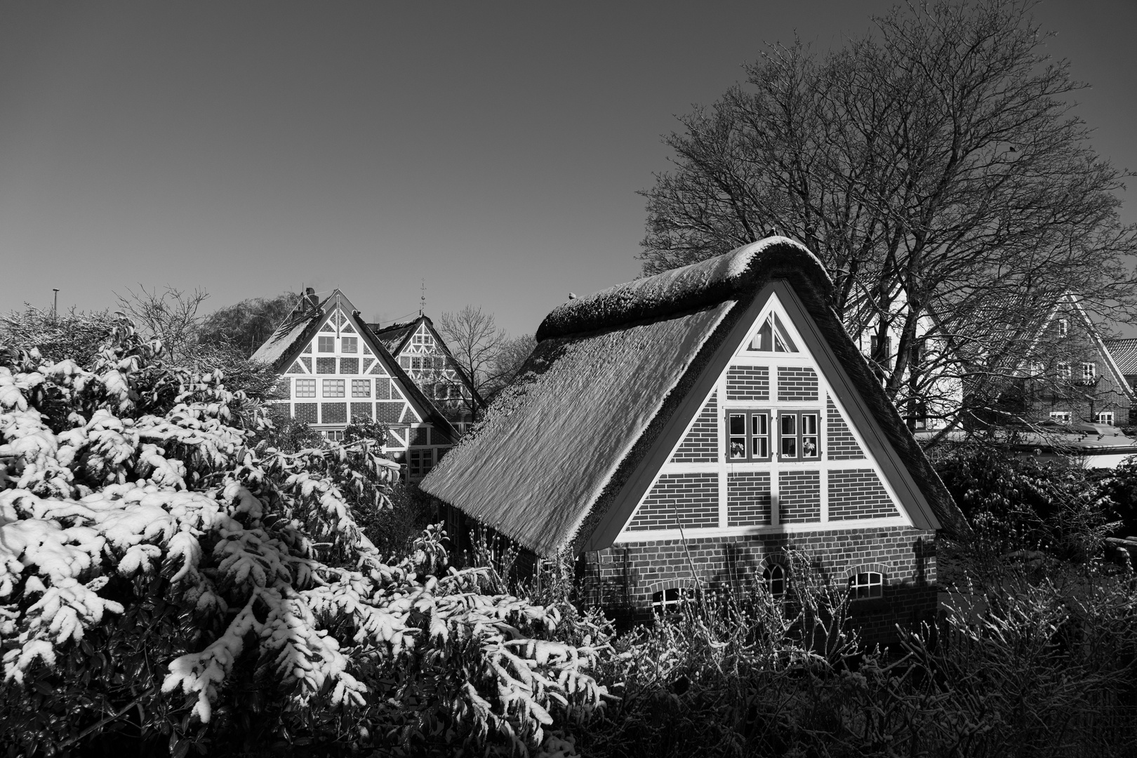 Reetdächer im Winter 