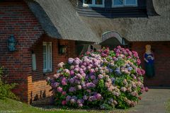 Reetdächer und Gartenkunst in Kampen