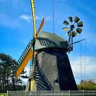 Reetgedeckte Windmühle